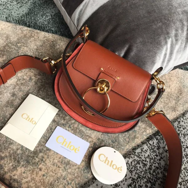 AAA Replica Ru CHLOÉ SMALL TESS BAG 0118