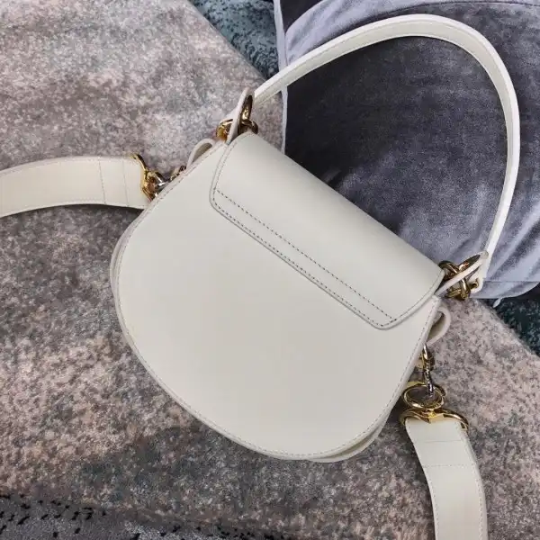 AAA Pruses Bags CHLOÉ SMALL TESS BAG 0125