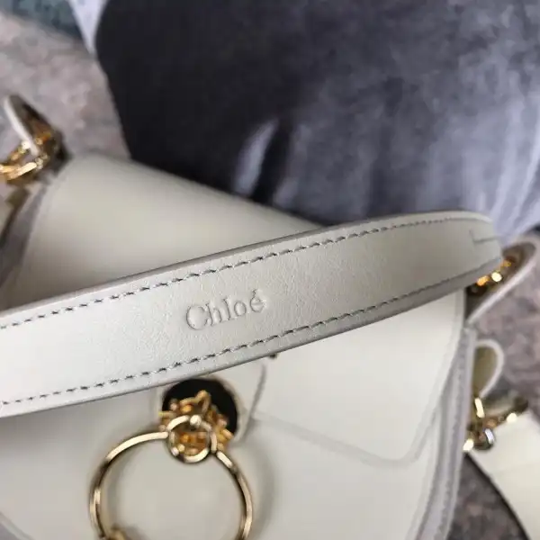 AAA Pruses Bags CHLOÉ SMALL TESS BAG 0125