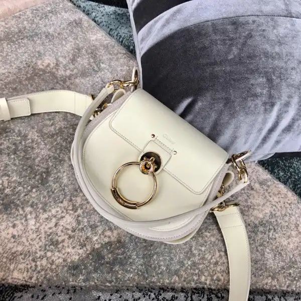 AAA Pruses Bags CHLOÉ SMALL TESS BAG 0125