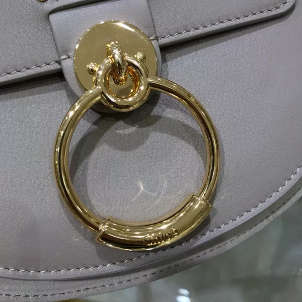 AAA Replica Ru CHLOÉ SMALL TESS BAG 0118