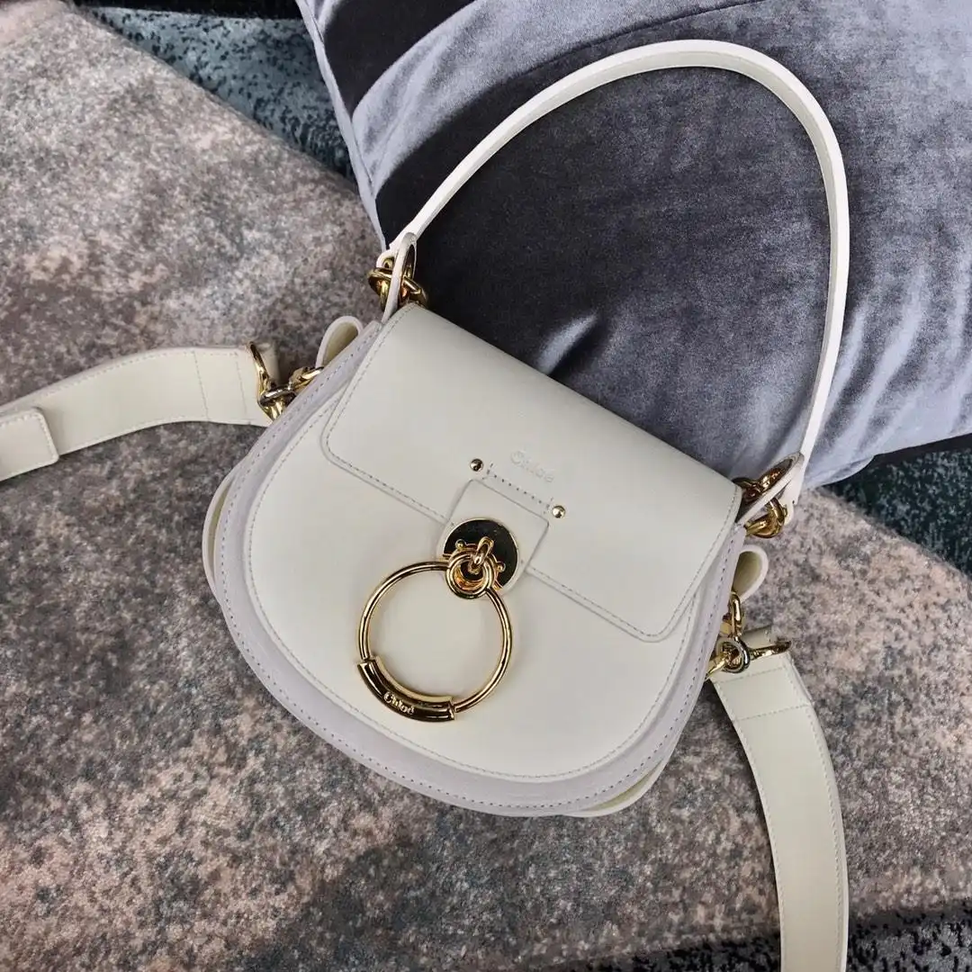 AAA Pruses Bags CHLOÉ SMALL TESS BAG 0125