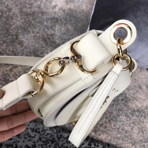 AAA Pruses Bags CHLOÉ SMALL TESS BAG 0125