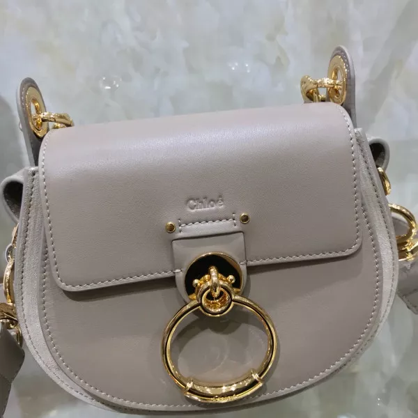 AAA Replica Ru CHLOÉ SMALL TESS BAG 0118