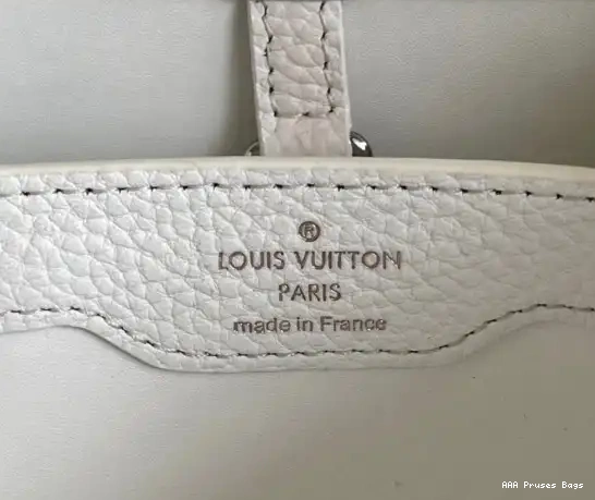 AAA Replica Ru BB CAPUCINES LOUIS VUITTON 0217