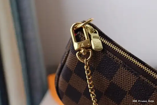 AAA Pruses Bags LOUIS POCHETTE VUITTON MINI ACCESSOIRES 0225