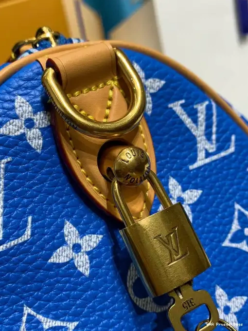 AAA Replica Ru Vuitton 25 Louis SPEEDY 0219