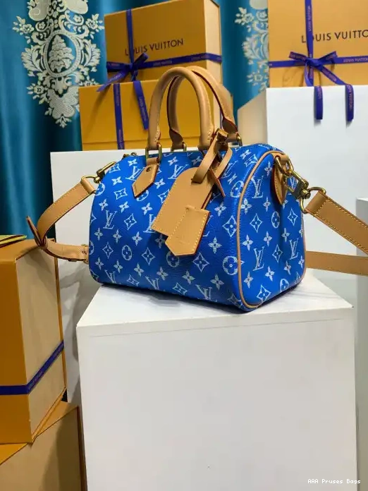 AAA Replica Ru Vuitton 25 Louis SPEEDY 0219