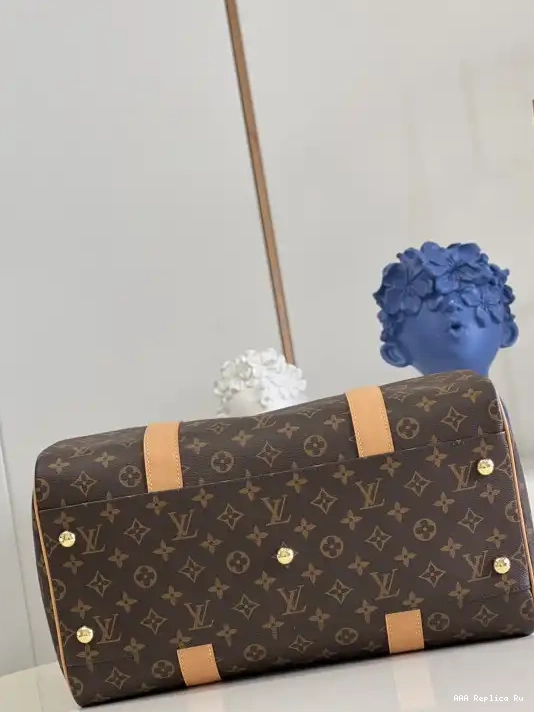 AAA Replica Ru VUITTON CARRYALL LOUIS 0221