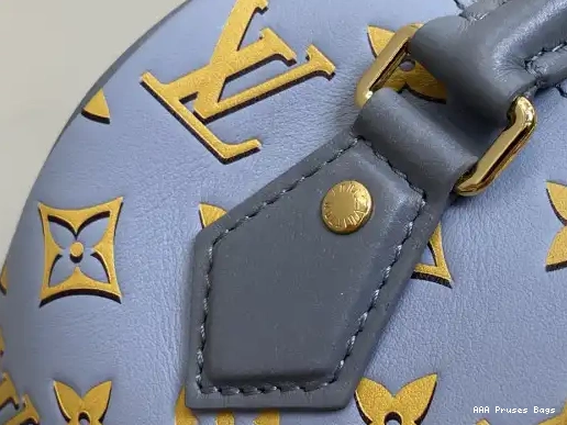 AAA Pruses Bags VUITTON LOUIS BANDOULIÈRE 20 SPEEDY 0224