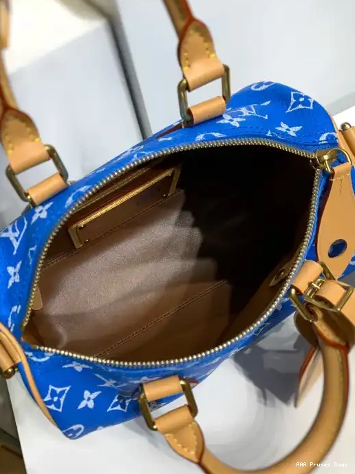 AAA Replica Ru Vuitton 25 Louis SPEEDY 0219