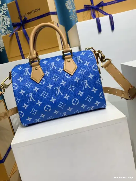 AAA Replica Ru Vuitton 25 Louis SPEEDY 0219