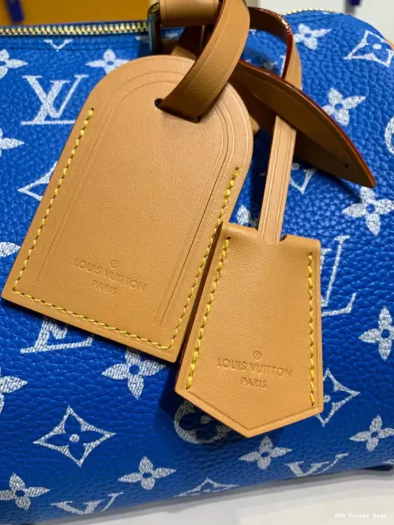 AAA Replica Ru Vuitton 25 Louis SPEEDY 0219