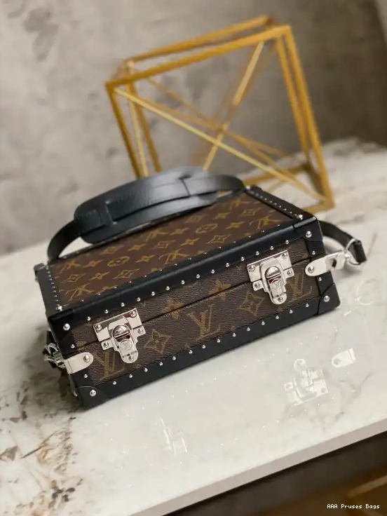 AAA Pruses Bags VUITTON LOUIS CLUTCH BOX 0216